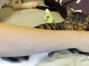 Ryyna young small tits blonde finger pussy webcam show