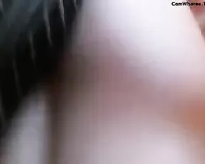 FerretSalad