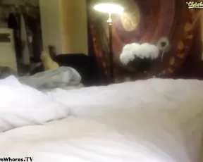 FoxyRox