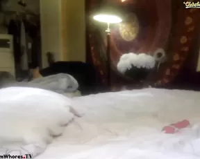 FoxyRox