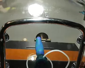 PityKitty Glass ride