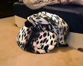 moonlitfox anal