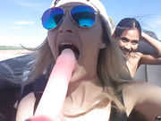 GINGERBANKS -GINGER BANKS IN PUBLIC FUN VOLUME 6