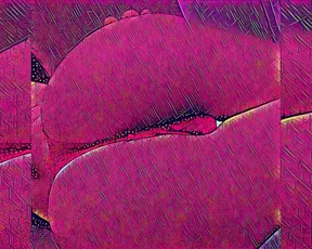 Pussybrazil