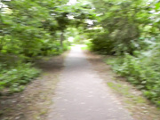 Mariah Leonne public facial