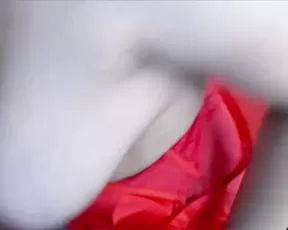 giuliabress 4