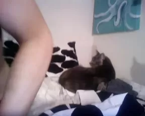 Anal dildo plugs an ass