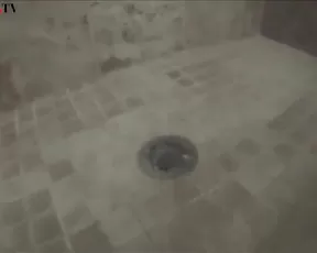 Chasity Merlow shower