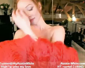 AustinWhite MFC Group Show 1