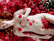 Minxymaeve reenacting "American Beauty" - premium video