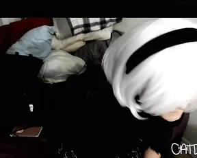 catd0ge pussy oops