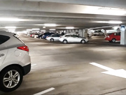 GingerBanks - Public Fun with Emma Banks Volume One