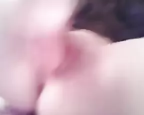 Great close up dick sucking action