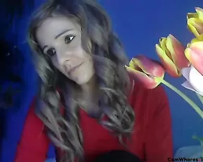 Kocurek red