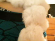 Sexy thing opens up her legs