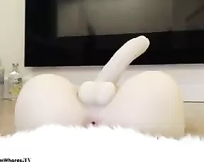 AnnBrooke riding torso