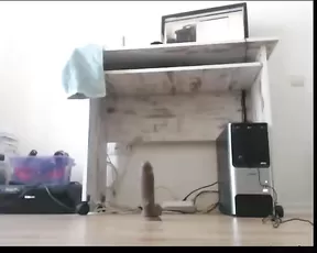 ilithyia riding multiple dildos