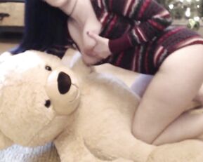 Jademoon teddy bear hump