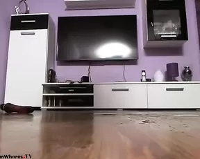 szefowa squirt