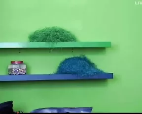 MissAracely - 2
