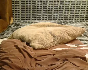 A busty thing is fucked hard