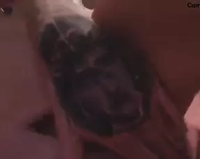 Tattrose BG premium vid