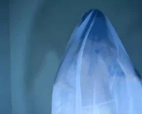 Blueeyedkat- Ghost