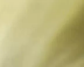 Hot secretary sucks cock