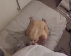 LondonRae Fucking boyfriend again