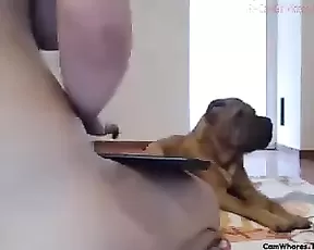 Blonde kneaded and drilled hard on the couch