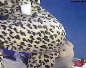 kocurek 2