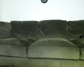 leeludicrous