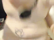 Amateur masturbates in front of the webcam