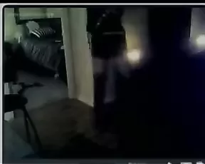 shaydafox