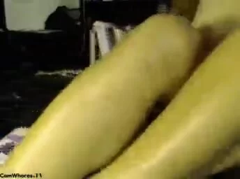 SodomizeCakes 2 (Retired) Live Porn