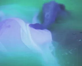 Live Adult Webcams daisy_marz this is one of my favorite videos i ve ever done very art-porn-y so it didn t get a lot of xxx onlyfans porn videos