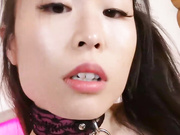 layndare all collared up and ready to play live porn