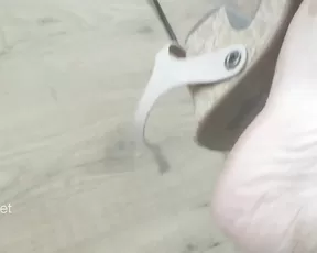 classyfeet -free live porn