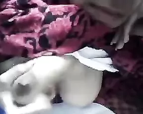 Interracial pussy bang amateur party