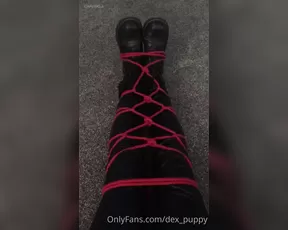 dex_puppy i love struggling videos so here s one of me. onlyfans sex live