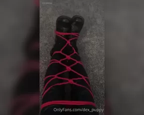dex_puppy i love struggling videos so here s one of me. onlyfans sex live