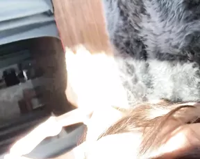 kittireina sunning inside xxx onlyfans porn videos