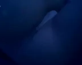 catlyn do_you_like_when_i_spread_my_cheeks_for_you onlyfans xxx porn