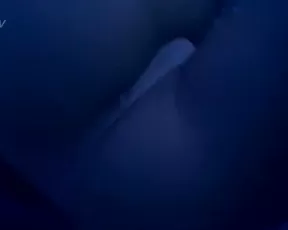 catlyn do_you_like_when_i_spread_my_cheeks_for_you onlyfans xxx porn