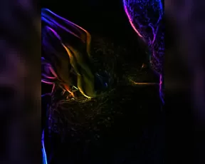 Kit Katterson kit_katterson just_a_little_tongue_action onlyfans xxx porn