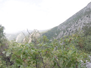 katyaclover enjoy my trip to croatia xxx onlyfans porn videos