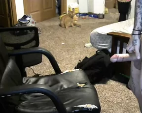 bethandrysn Chaturbate webcam liveporn livesex1
