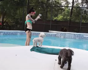 countingmycrosses petsitter goes skinny dipping swimming voyeur sexcams swimwear show free manyvids liveporn video