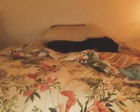 Shy blonde gets fucked