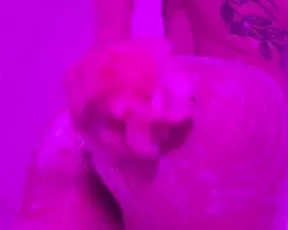 kaliroses chat show liveporn livesex1